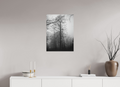 50 x 67,7 cm, Aluminum Dibond Fog Lines – A Path Through Quiet Woods
