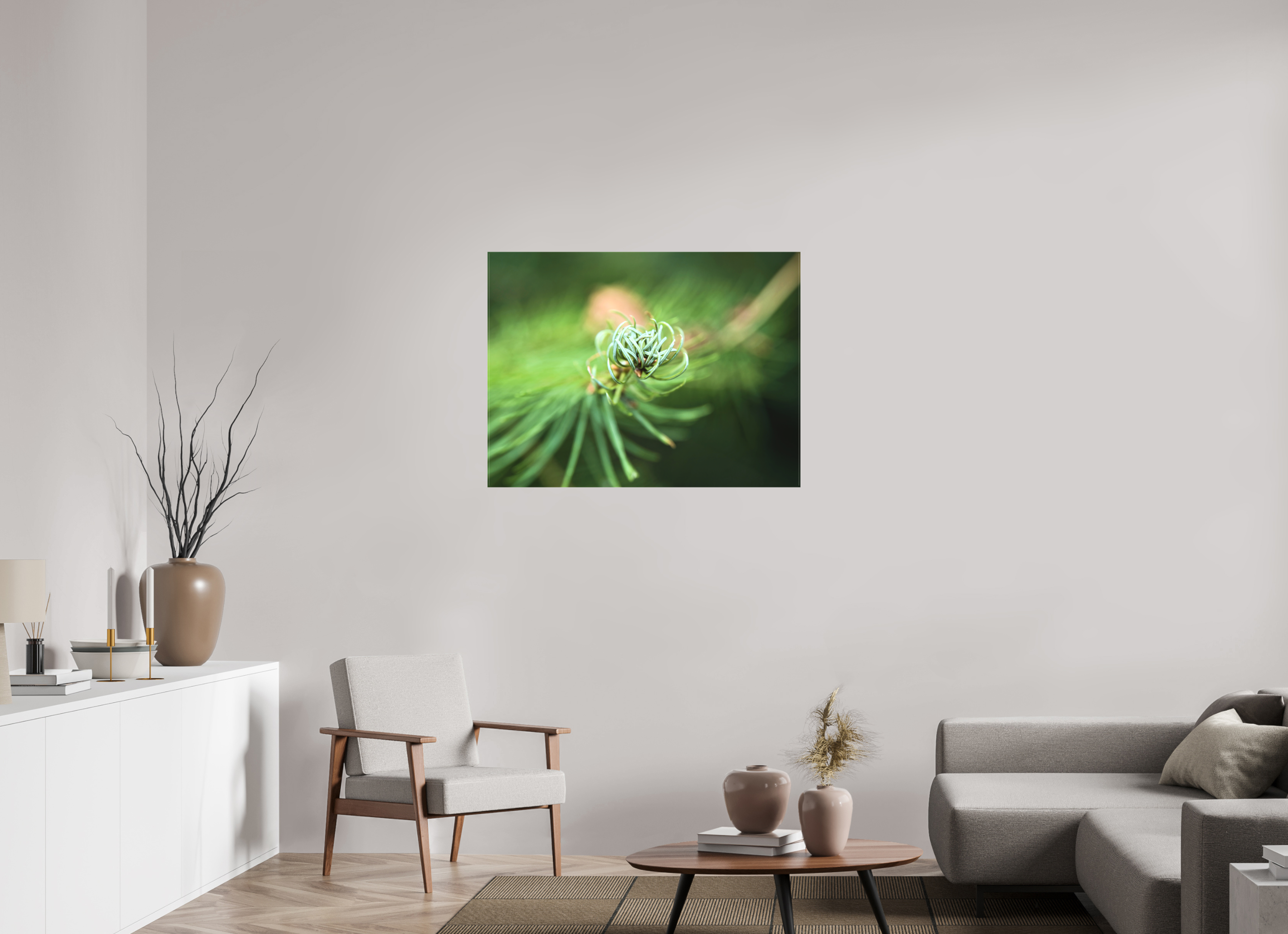 100 x 75 cm, Canvas Pine Spiral – Emerging Forest Light