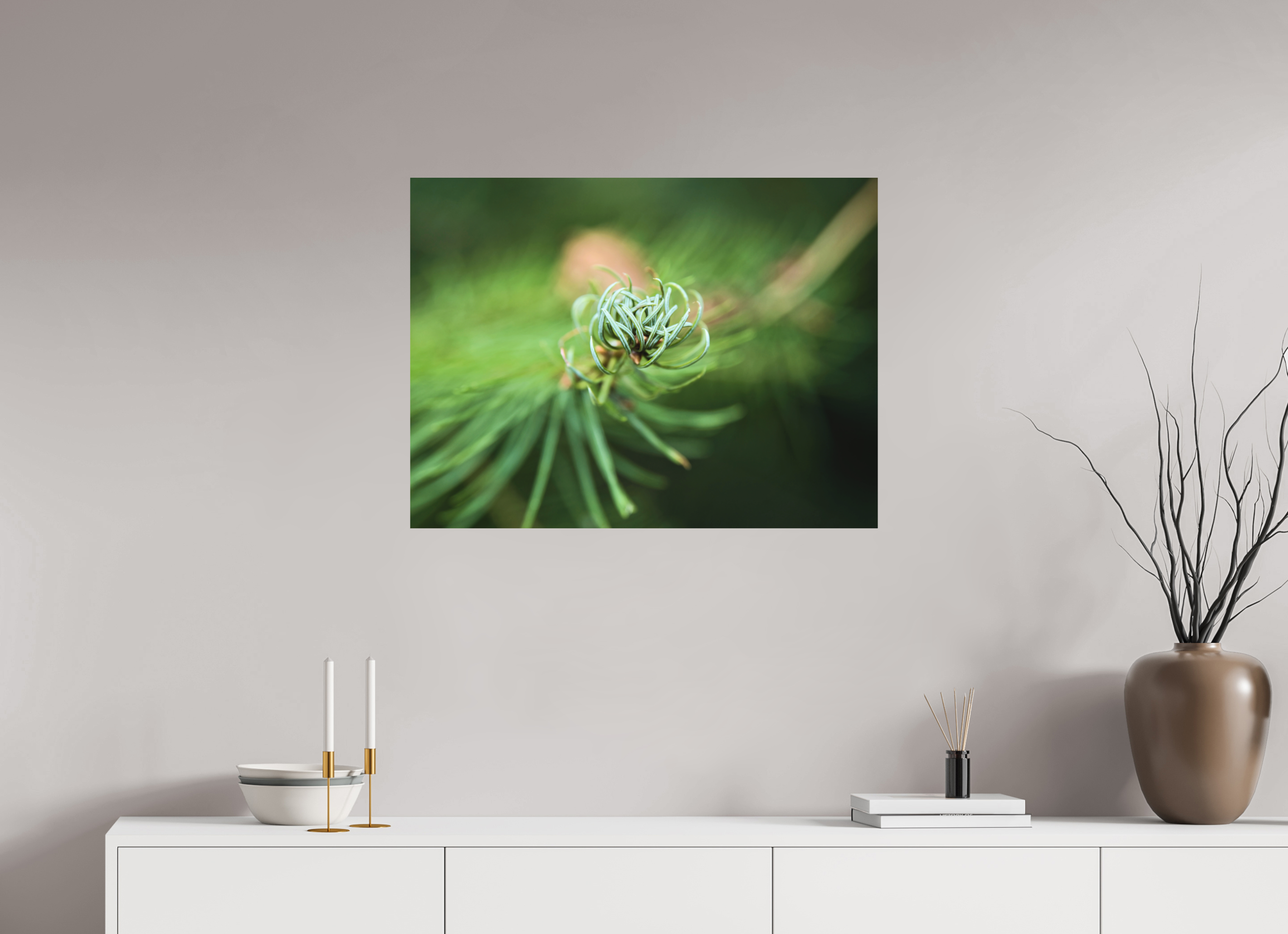 80 x 60 cm, Aluminum Dibond Pine Spiral – Emerging Forest Light