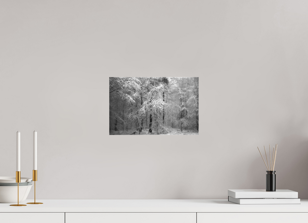 31,5 x 20 cm, Canvas Snowbound Forest – Stillness in White