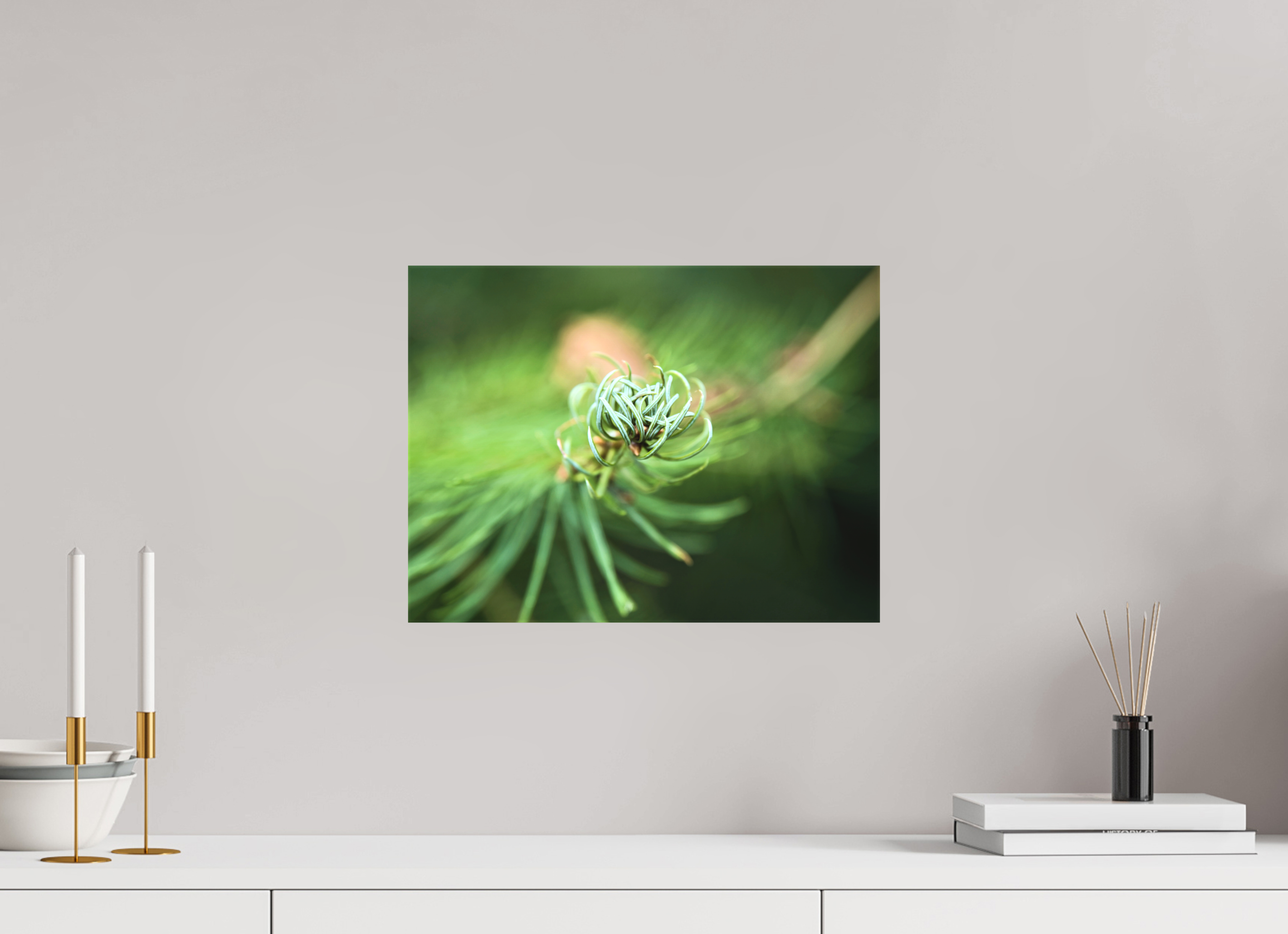 40 x 30 cm, Canvas Pine Spiral – Emerging Forest Light