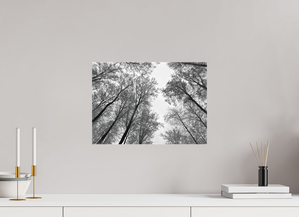 DIN A3 (42 x 29,7 cm), Canvas Skyward Trees – Lines Against the Light