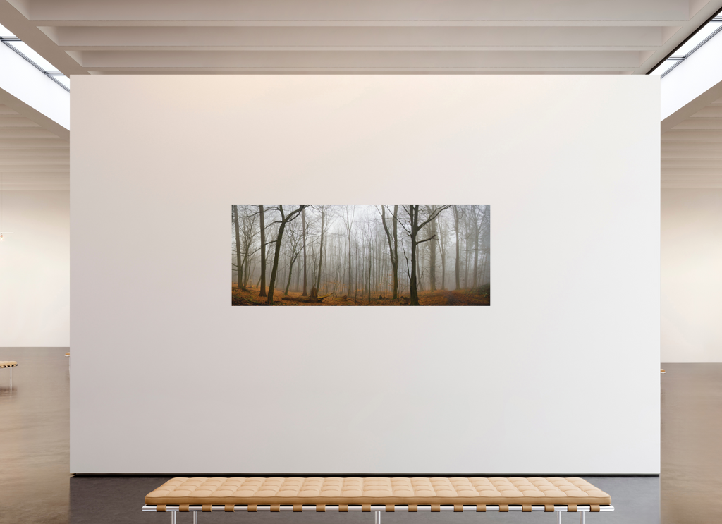 229,7 x 90 cm, Aluminum Dibond Foggy Forest Art Print – Quiet Woodland Photography for Calm Spaces