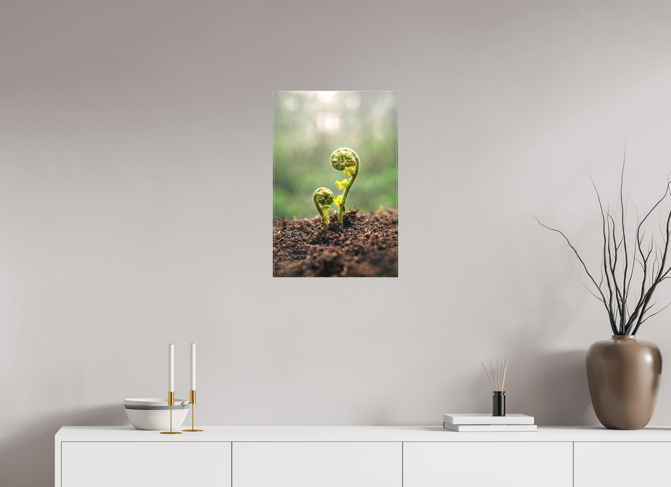 40 x 60 cm, Canvas Fiddlehead Twins – Emerging Forest Life