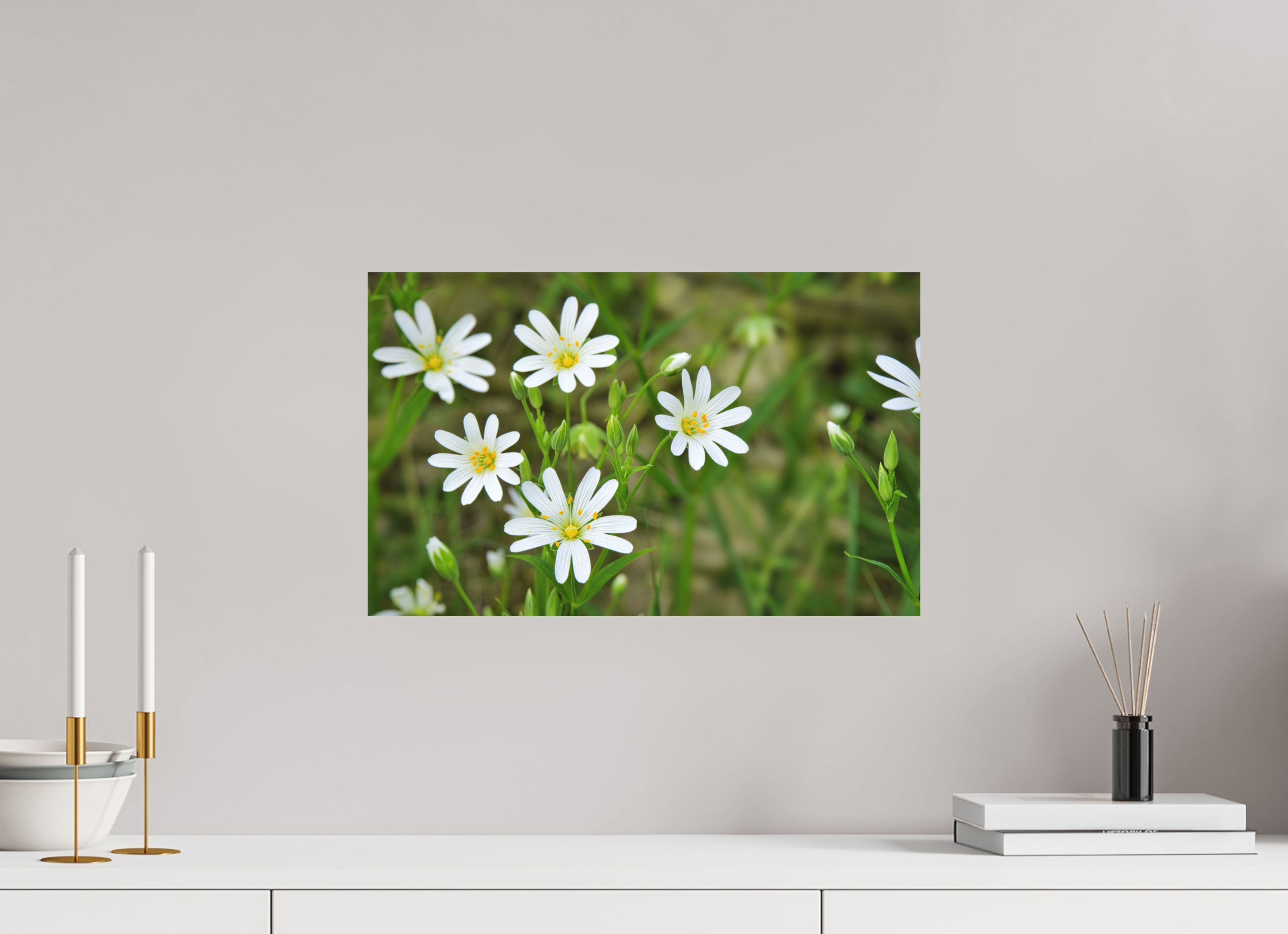 48,2 x 30 cm, Aluminum Dibond The Silence of the Stitchwort – Botanical Elegance in Soft Green