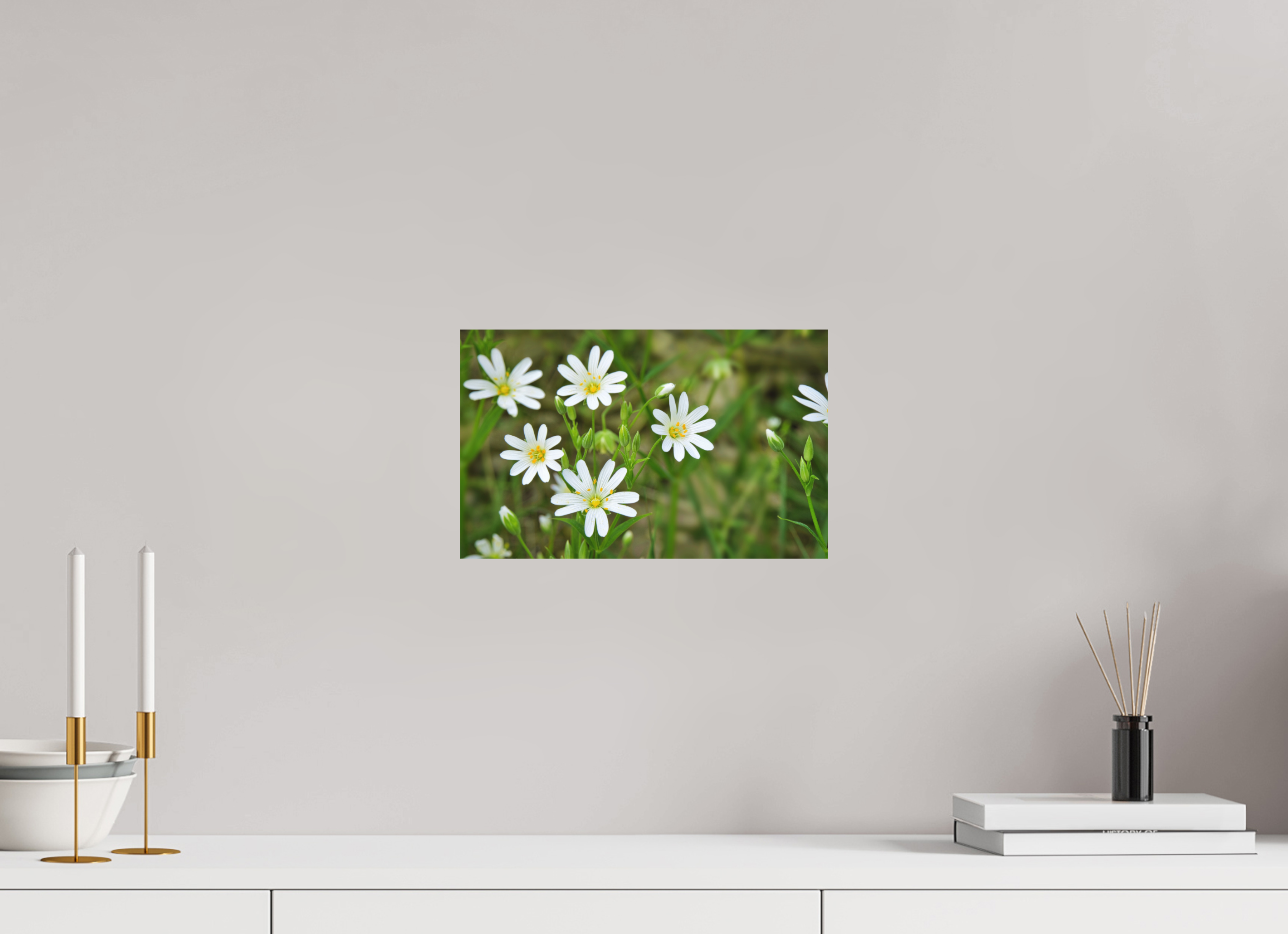 32,1 x 20 cm, Aluminum Dibond The Silence of the Stitchwort – Botanical Elegance in Soft Green