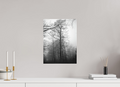 30 x 40,6 cm, Canvas Fog Lines – A Path Through Quiet Woods
