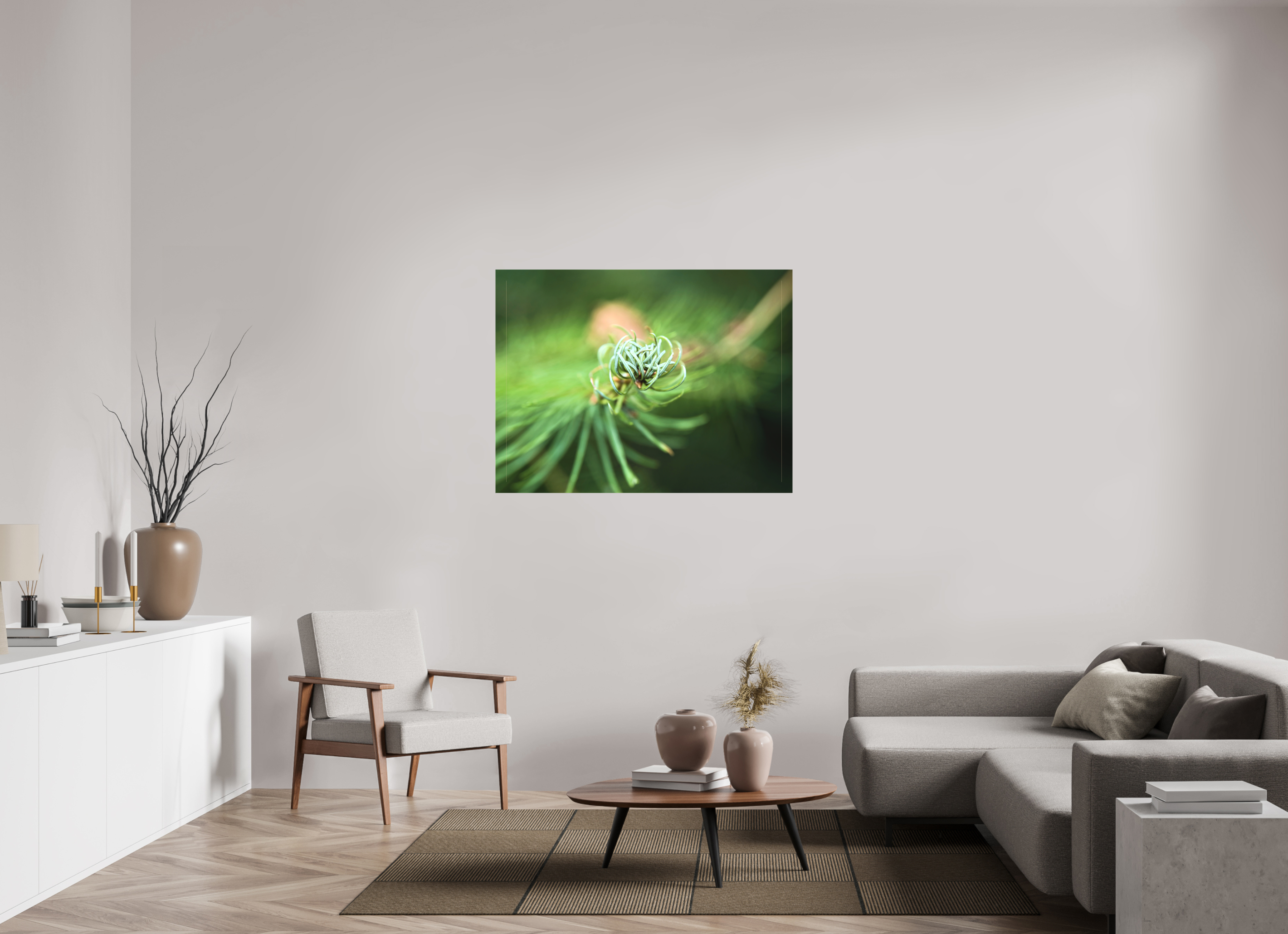 120 x 90 cm, Canvas Pine Spiral – Emerging Forest Light
