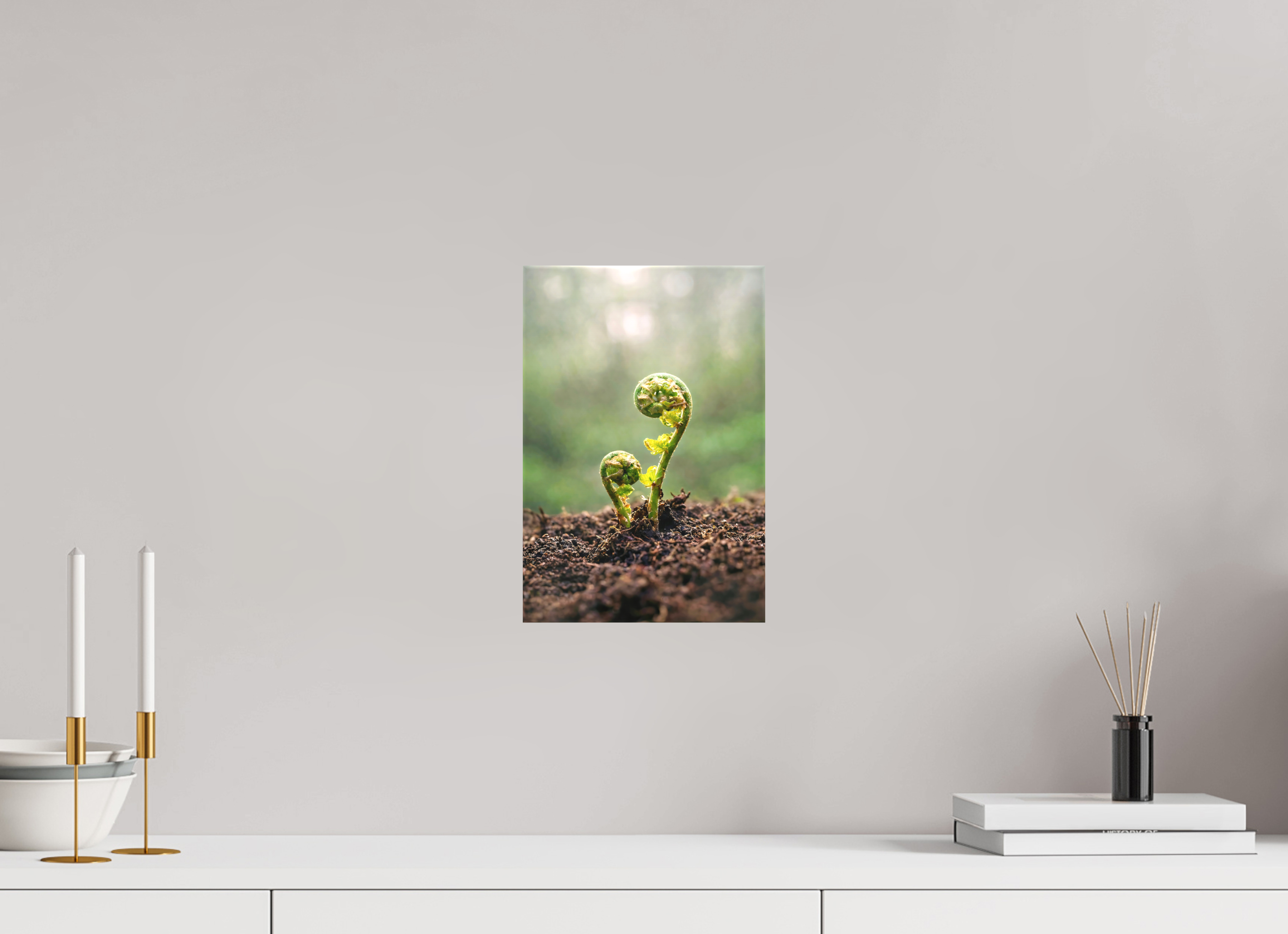 20 x 30 cm, Canvas Fiddlehead Twins – Emerging Forest Life