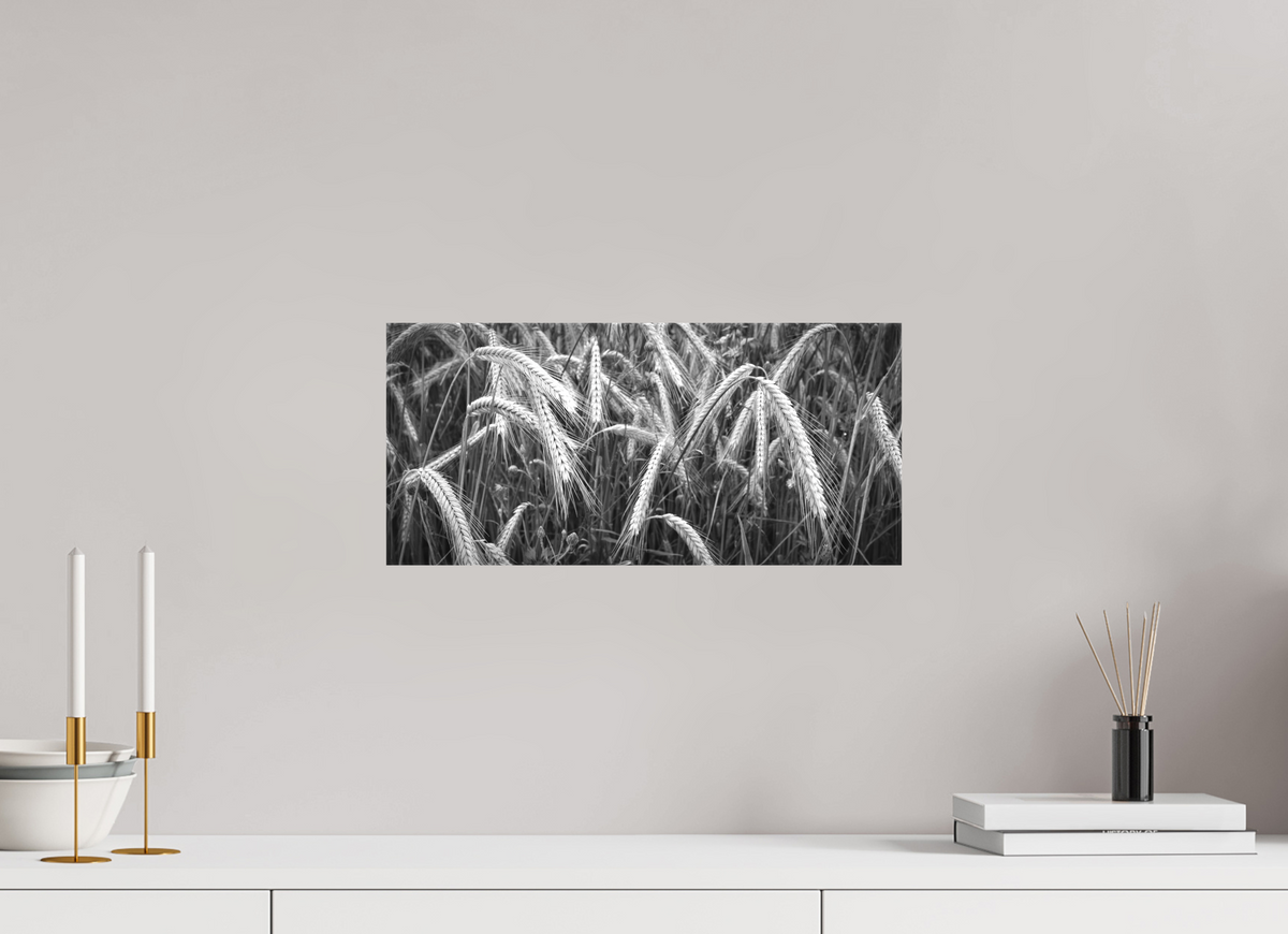 43,8 x 20 cm, Canvas Rural Silence – Fine Art Panorama