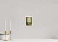 10 x 15 cm, Poster You Are Enough – Light Between the Trees