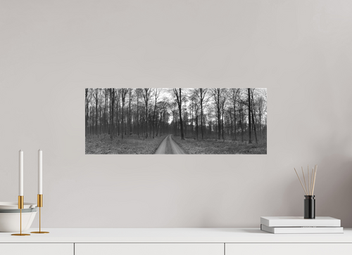56,8 x 20 cm, Canvas Bare Forest – Quiet Steps in Monochrome