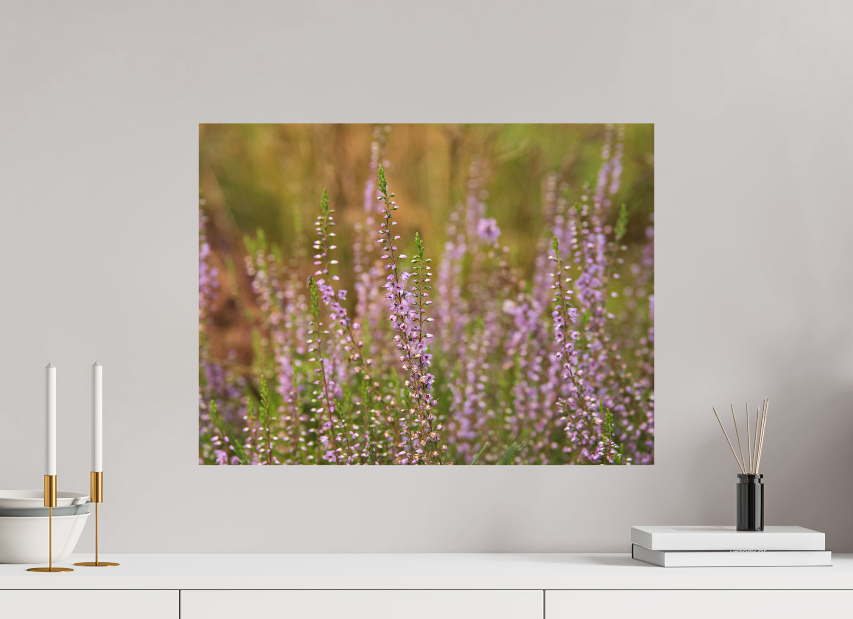 60 x 45 cm, Aluminum Dibond Heather Glow – Softness Across the Moor