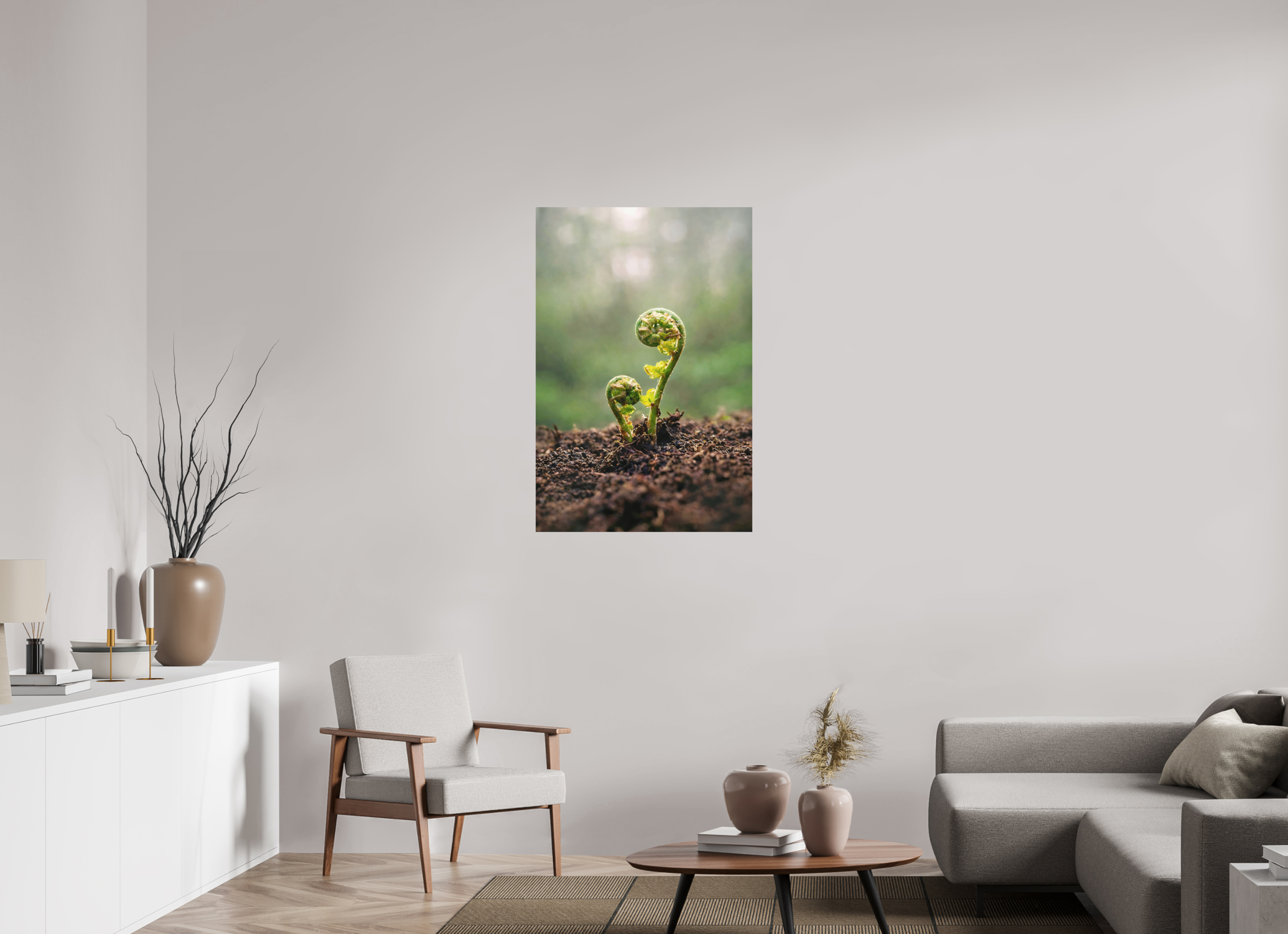 70 x 105 cm, Aluminum Dibond Fiddlehead Twins – Emerging Forest Life