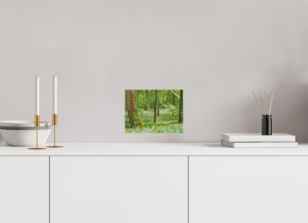 20 x 15 cm, Fine Art Acrylic Block Whispering Spring Forest