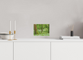 20 x 15 cm, Fine Art Acrylic Block Whispering Spring Forest