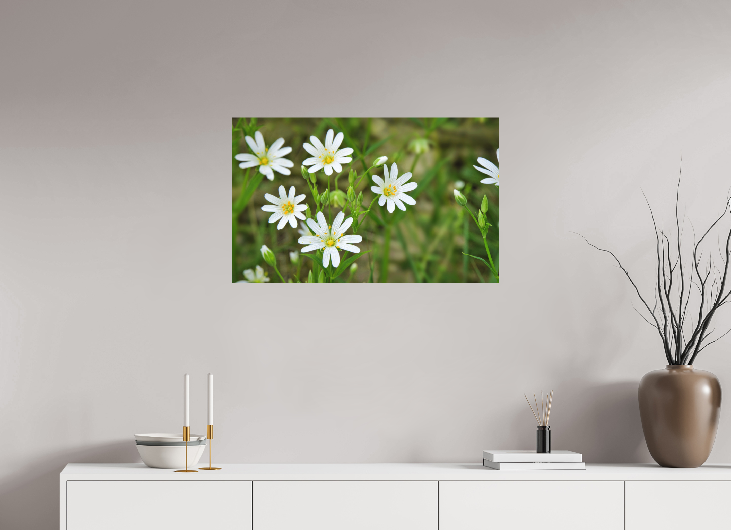 80,3 x 50 cm, Aluminum Dibond The Silence of the Stitchwort – Botanical Elegance in Soft Green