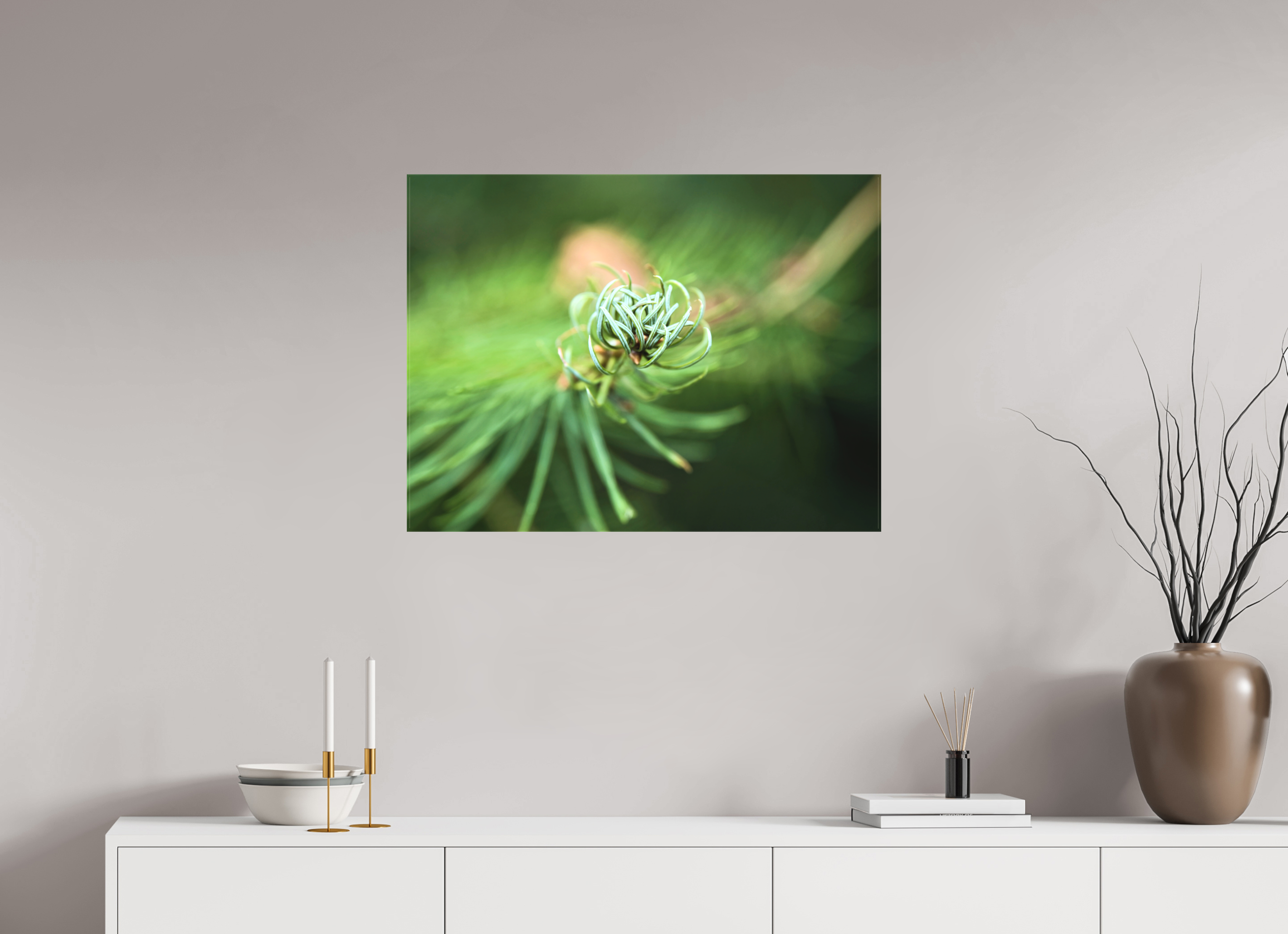 80 x 60 cm, Canvas Pine Spiral – Emerging Forest Light